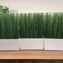 観葉植物３点セット（フェイクグリーン）