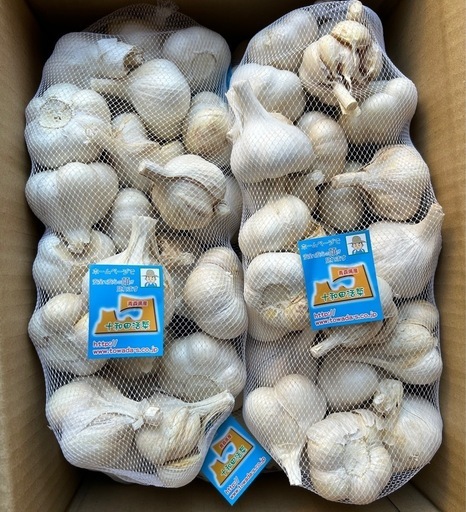青森にんにく　訳ありにんにく１０キロ　訳ありにんにく　ホワイト六片種にんにく　訳あり