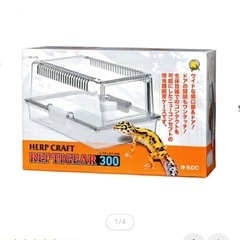 爬虫類　ゲージ