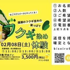 フクギ染め体験