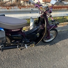 リトルカブの画像