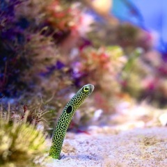 カメラ仲間募集📸