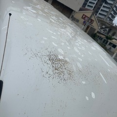 アトレーワゴンカスタム (20年式)の画像