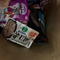 キャットフード大量の画像
