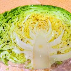 沖縄県産・自家製キャベツ🌱の画像