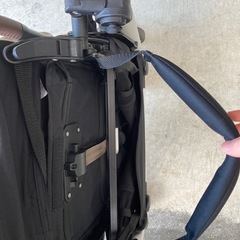 サイベックス　オルフェオの画像