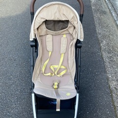 サイベックス　オルフェオの画像