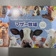 マザー牧場入園券