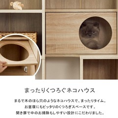 収納棚にもなる キャットタワー キャットウォーク ナチュラル 本棚