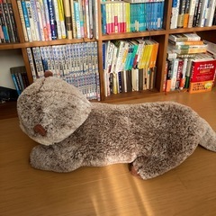 かわうそのぬいぐるみの画像