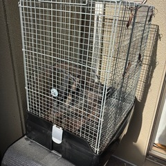 SANKOステンレスゲージの画像