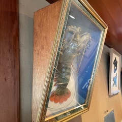 直接引取限定【大型エビの飾り譲ります】の画像