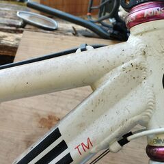 MTBガチ勢に。　ラ・ピエール　MTB（26インチ）　1から組み上げたものの画像