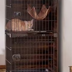 猫用ケージ2段、または3段を探しています