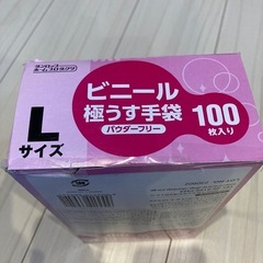 ビニール極うす手袋Lサイズ パウダーフリーの画像