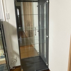 趣味の棚の画像