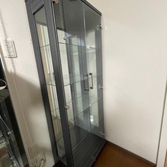 趣味の棚の画像