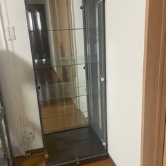 趣味の棚の画像