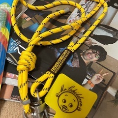 Mr.Children ファンクラブ　会報　歯ブラシ　スマホ紐の画像