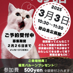 ねこのお話
