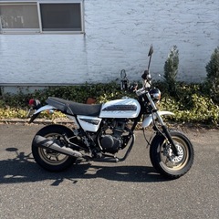 Honda Ape100 type D 