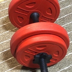 ダンベル10kgx2本の画像