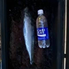 鮮魚の画像