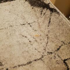 カーペット　約230cm×160cmの画像