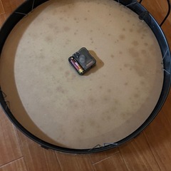 ヴィンテージ時計の画像
