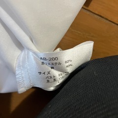 長袖レディースシャツLの画像