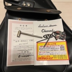 Jackson Stars Randy Rhoads V ジャクソンスターズの画像