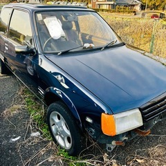希少 プジョー 205 GTI 1.9 Mk1 書類付きの画像