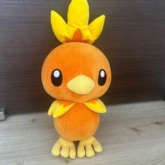 ポケモンぬいぐるみ