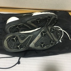 GOLDEN PRIX ゴールデンプリックス ゴルフシューズ靴 26cmの画像