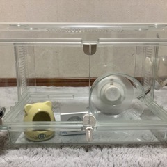 ハムスターゲージ　木屑とお部屋付き！　【頑丈】【ガラス性】の画像