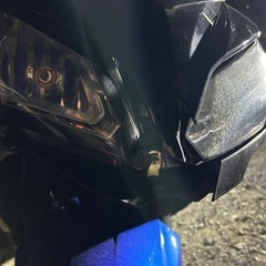 ニンジャ250 ex250l