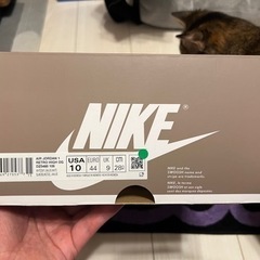 NIKE Air Jordan 1 Retro High OG MAUVE 28cmの画像