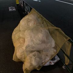 【門前仲町駅】【月約8万円】【週5.5日×朝2.5時間】マンション清掃/未経験者可～日払い可(門前仲町2)の画像