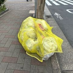 【清澄白河駅】【月約5.5万円】【週4.5日×朝2.0時間】マンション清掃/未経験者可～日払い可(清澄白河2)の画像