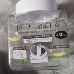 持ち帰り用水槽ボトル付き 国産 グッピー 魚 アクアリウム の画像