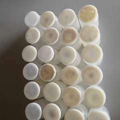 合計24本　菌糸ボトル800cc　空ボトル　　菌糸瓶の画像