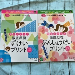 陰山メソッド徹底反復ずけいプリント 小学校1～6年　ぶんしょうだ...