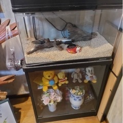 水槽
