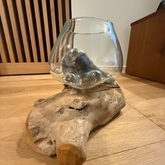 ガラスと木の水槽の画像