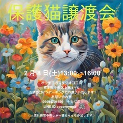 保護猫譲渡会2/8熊本市中央区