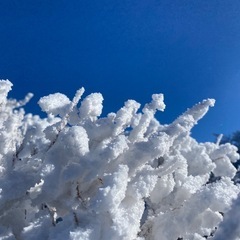 2月9or10日大山一緒に行ってくれる方募集 − 鳥取県