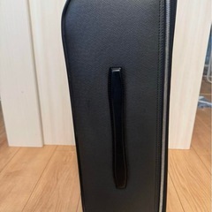 【定価60万】ほぼ新品　ルイヴィトン　キャリーケースの画像