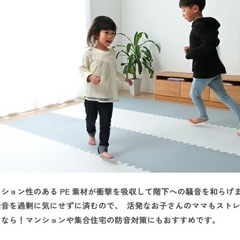 ジョイントマット ブラウン グレイッシュブルー 60cm 大判サイズの画像