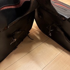 アメリカンバックの画像