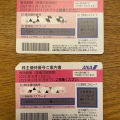 ANA全日空 株主優待券2枚 2025年5月31日まで有効